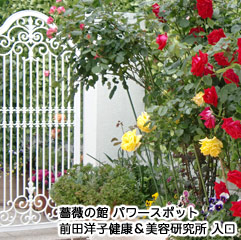 前田洋子,パワースポット,薔薇,バラ,スタジオ入口